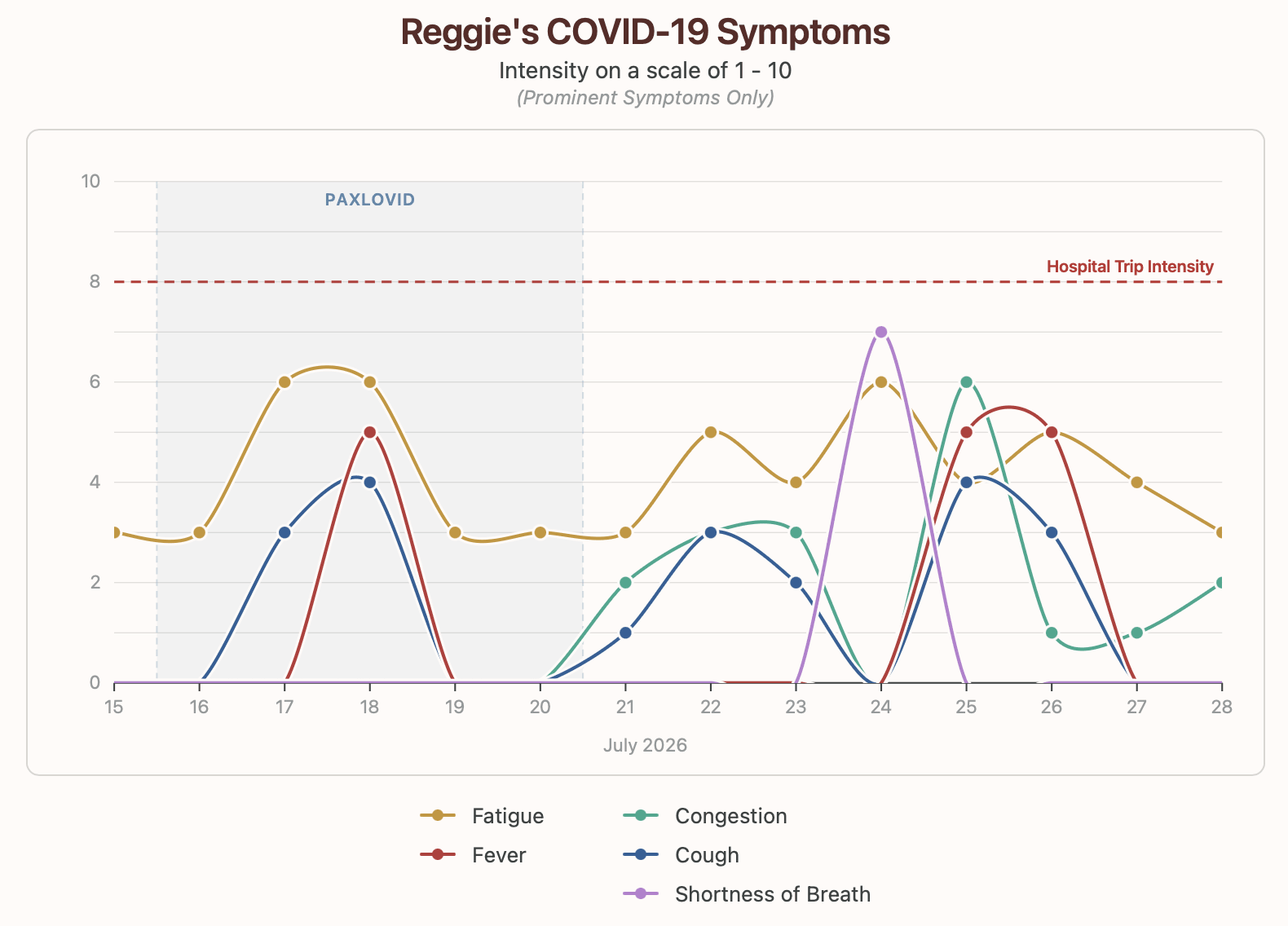 A smoothed line graph showing the evolution of my symptoms as perceived by me over the course of 14 days on a scale of 1-10.